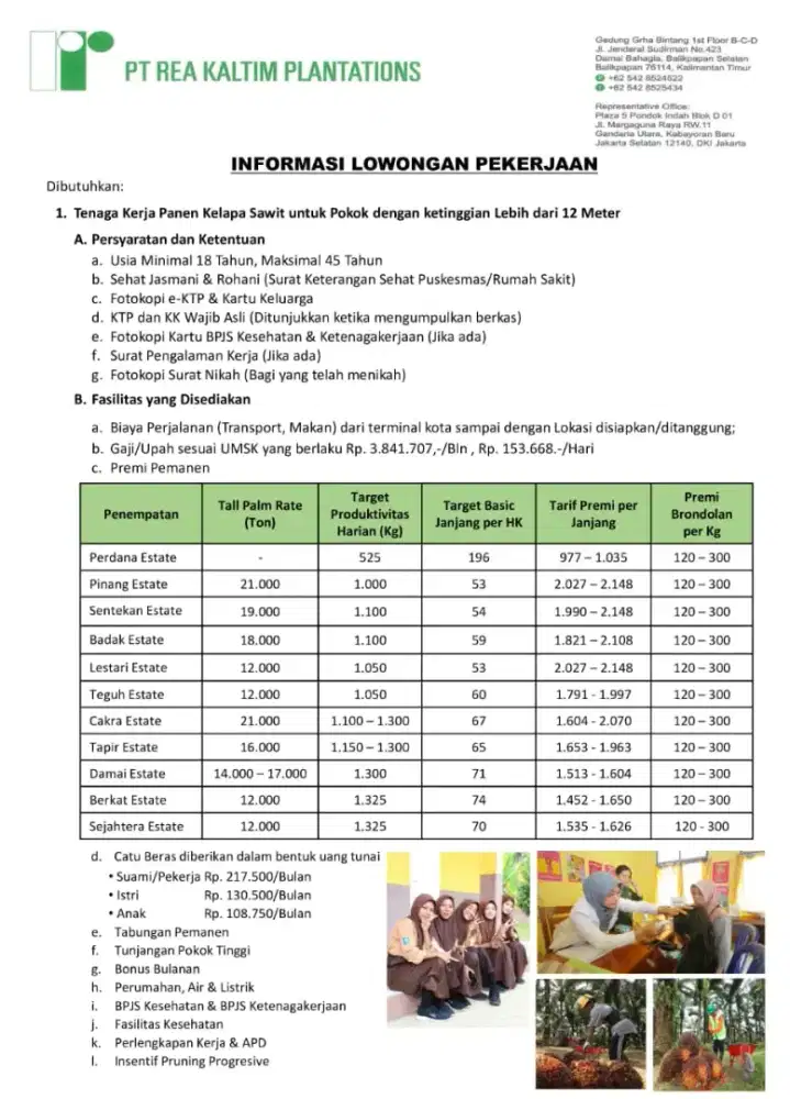 LOWONGAN PEKERJAAN PERKEBUNAN SAWIT