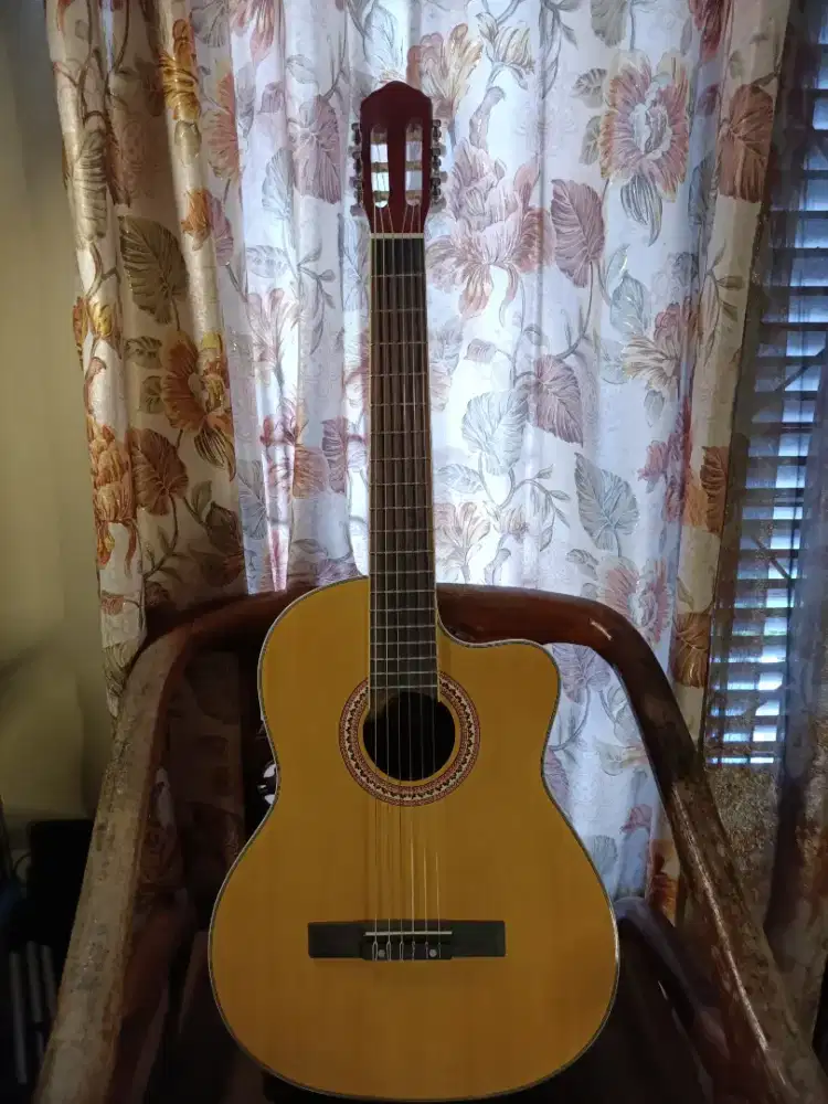 Gitar chard ec3940yn