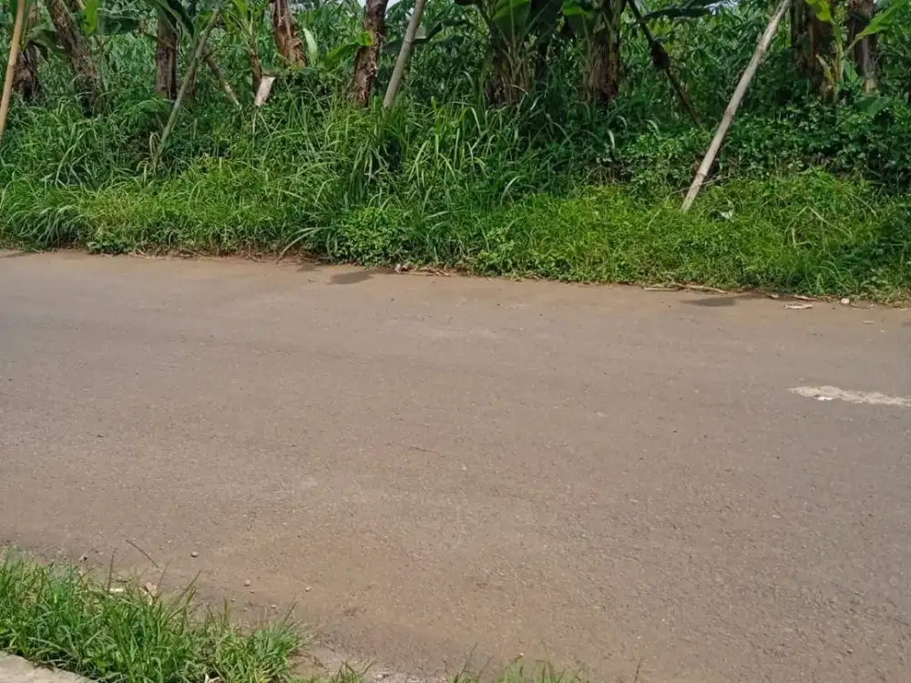 Jual Tanah di Jalan Ciherang Pondok Caringin 2640 meter SHM cocok buat Cluster