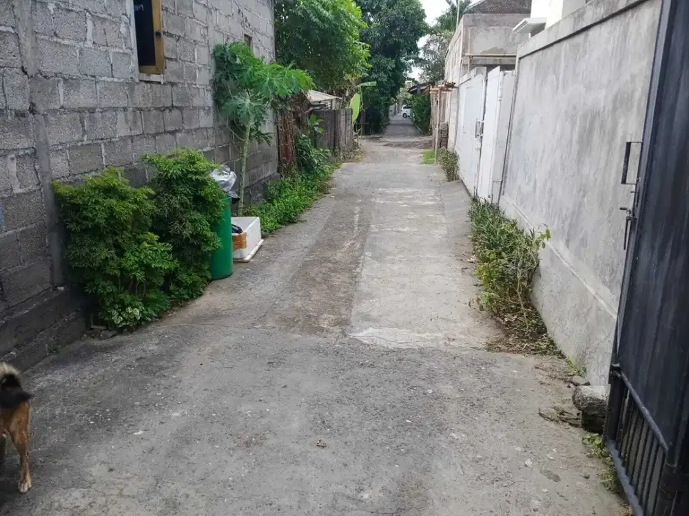 A strategic apartment located in the city center.