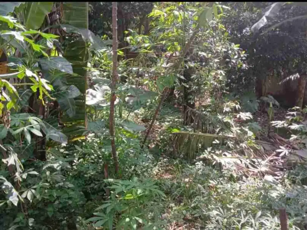 tanah kosong 700 meter