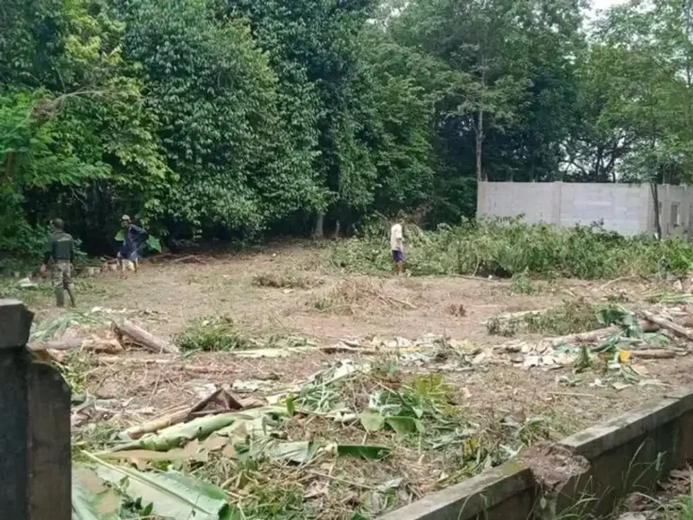 Tanah luas belakang perumahan citra indah