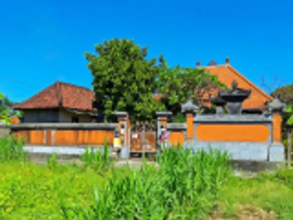 DIJUAL RUMAH & TANAH LUAS – KABUPATEN GIANYAR