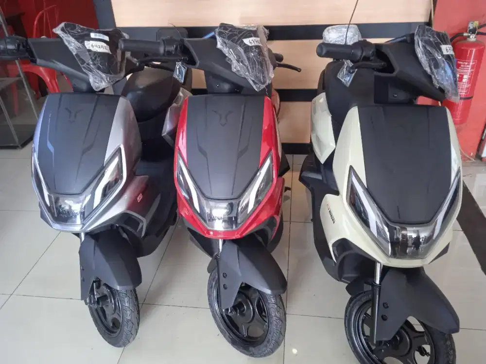 Sepeda Listrik U-winfly (D66A)