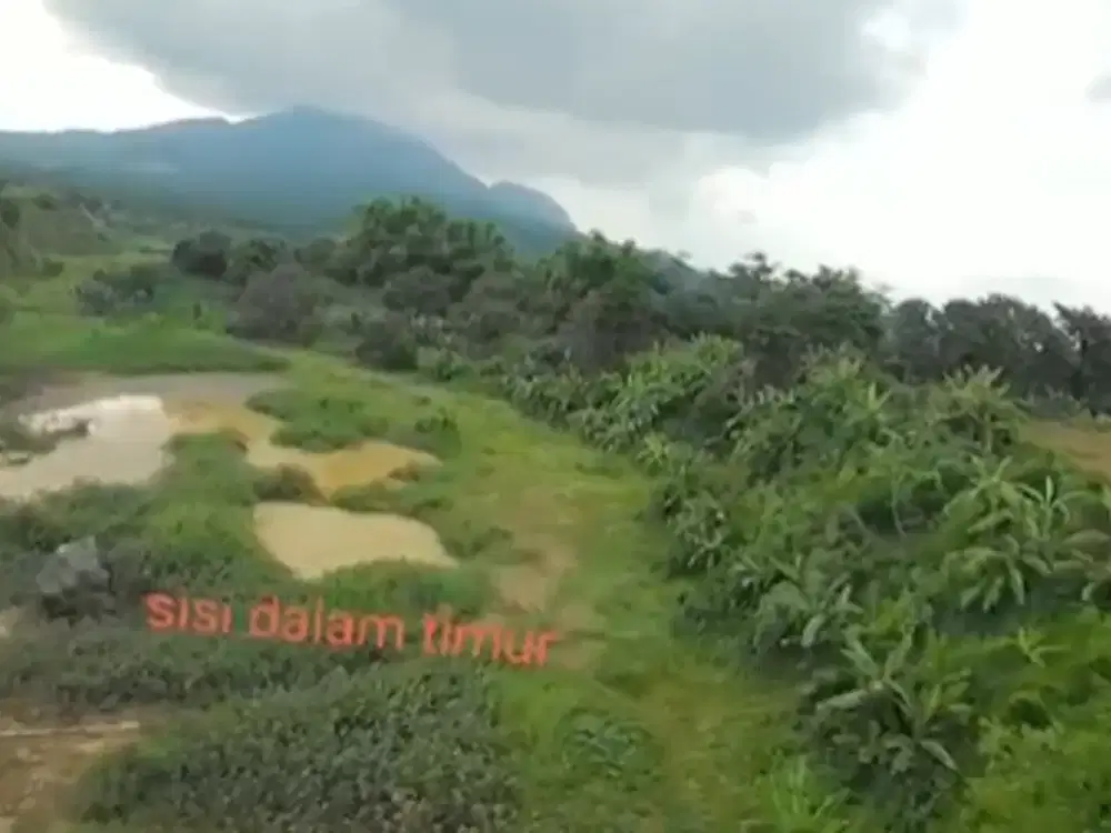 Tanah Luas dan Strategis, Lokasi di Pandaan, Jawa Timur