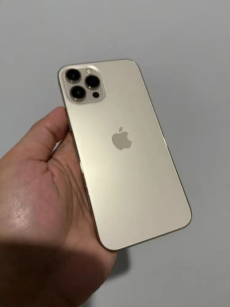 Iphone 12 promax 256gb dualsim