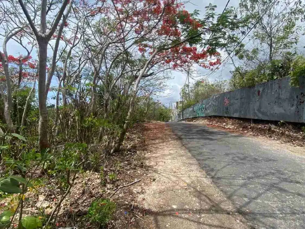 Dijual tanah Komersil‼️lokasi di Karang Putih pandawa bali