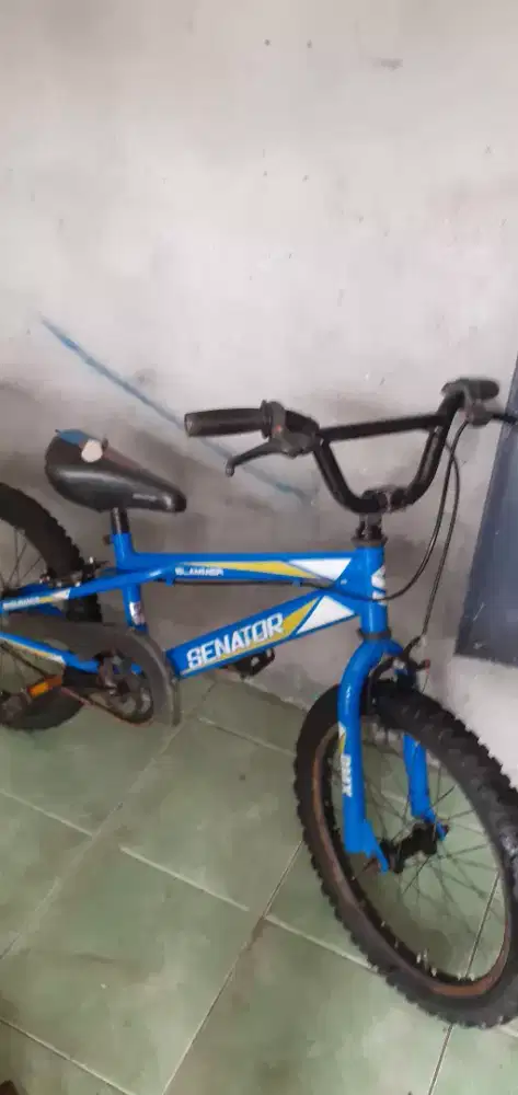 sepeda anak ukuran 18 masih bagus