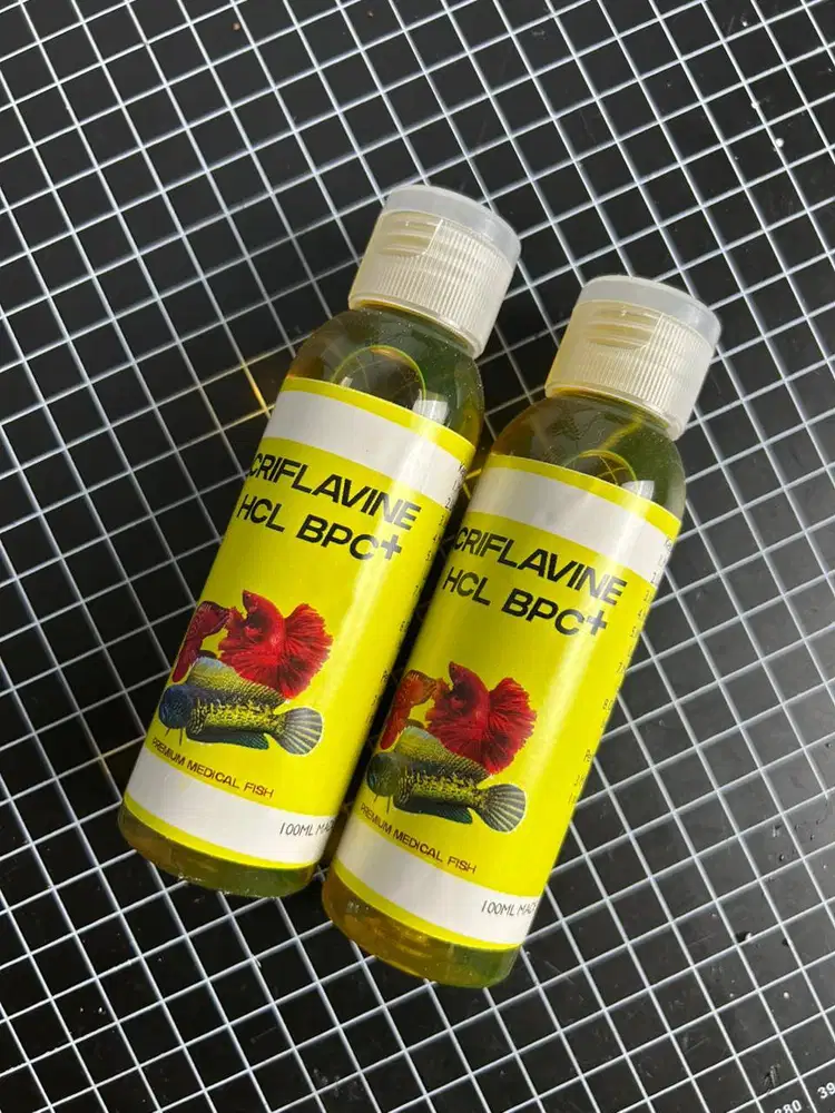 Obat Ikan hias berkualitas