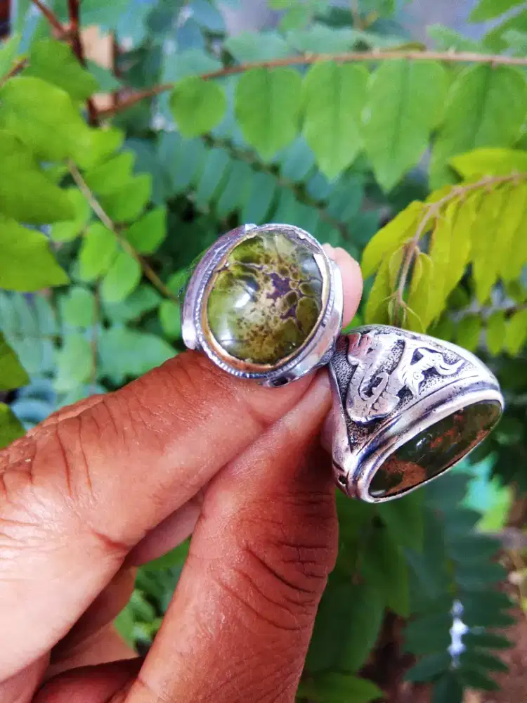 Pirus hijau original klasik