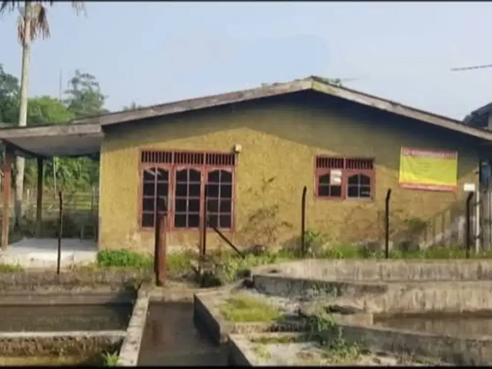 DIJUAL MURAH DAN CEPAT KOLAM IKAN, SAWAH DAN TANAH KOSONG