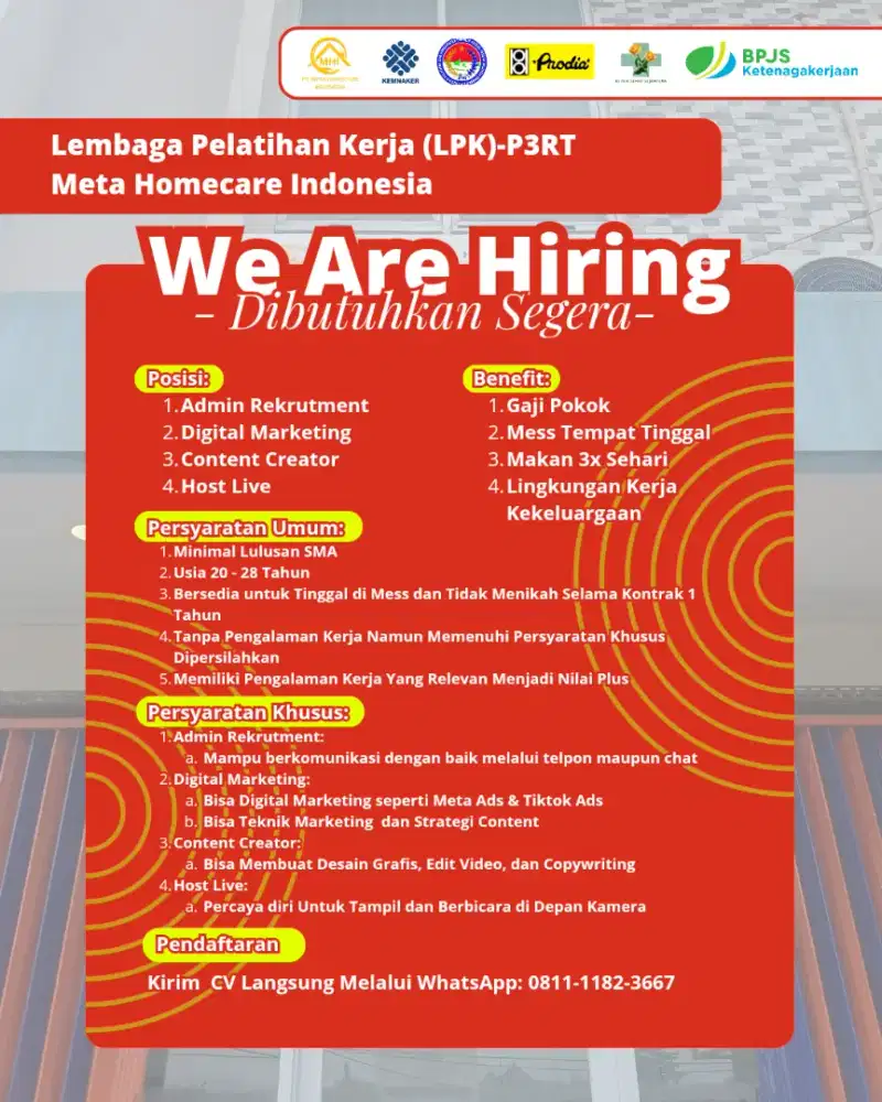 Lowongan Kerja Admin, Host Live, Konten Kreator & Digital Marketing