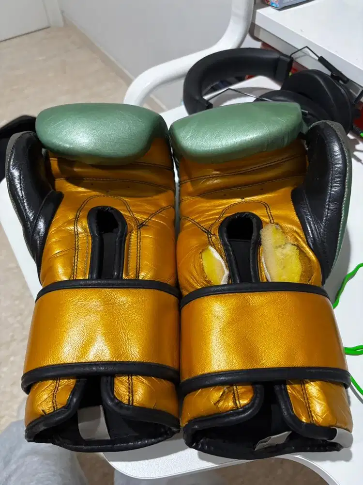 cleto reyes wbc edition 16 oz