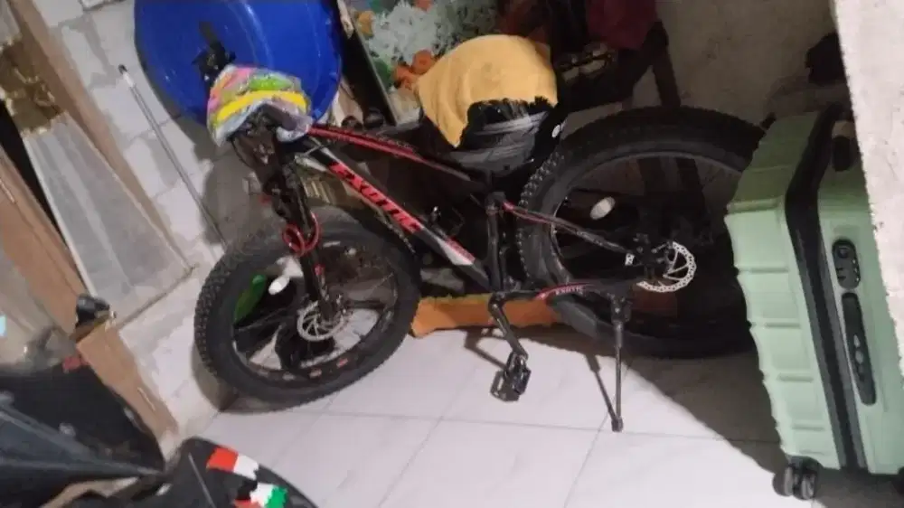 Sepeda exotic ban besar