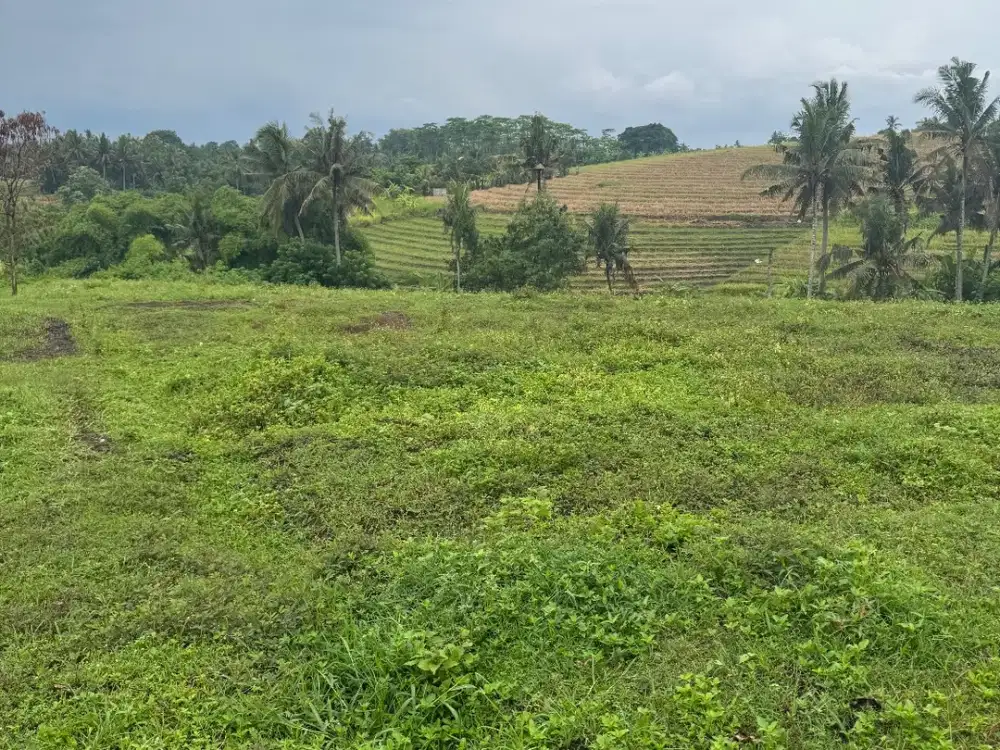 Jual tanah view terasering