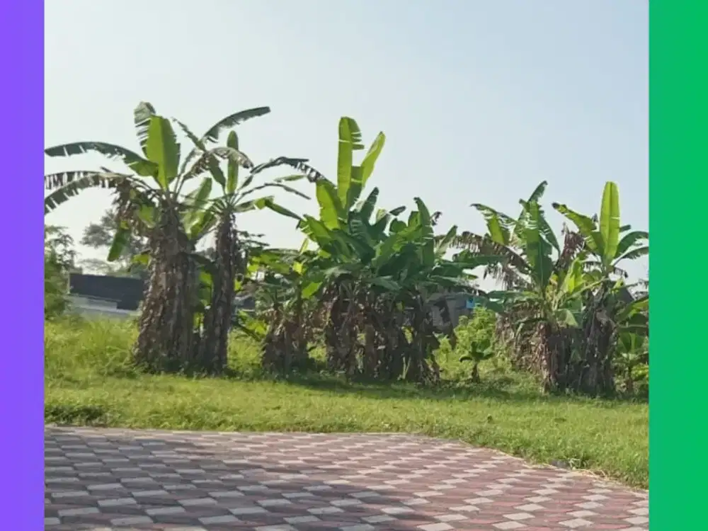 Tanah Maguwoharjo 3 menit dari  UNRIYO kampus 2