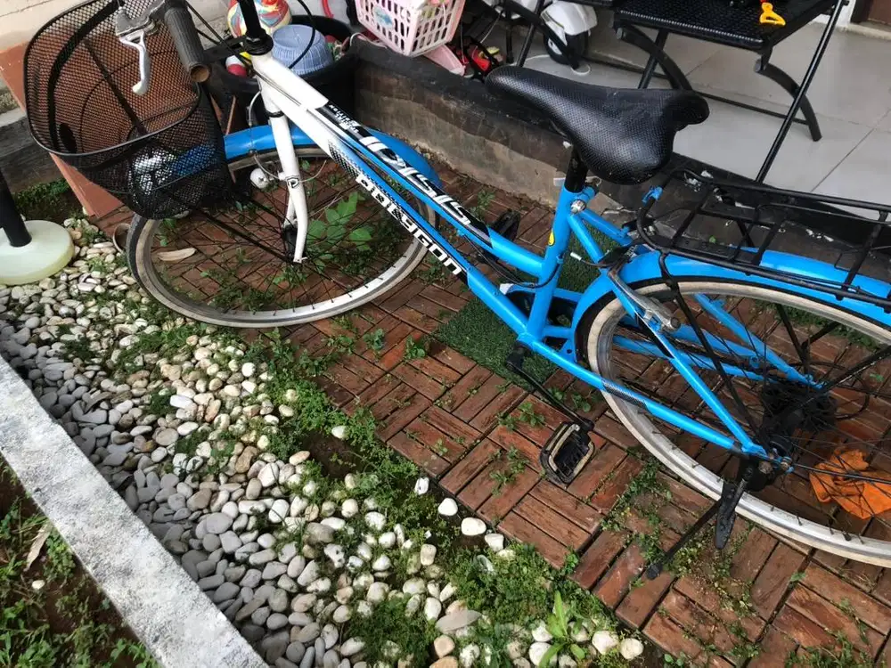 Sepeda Phoenix Bekas