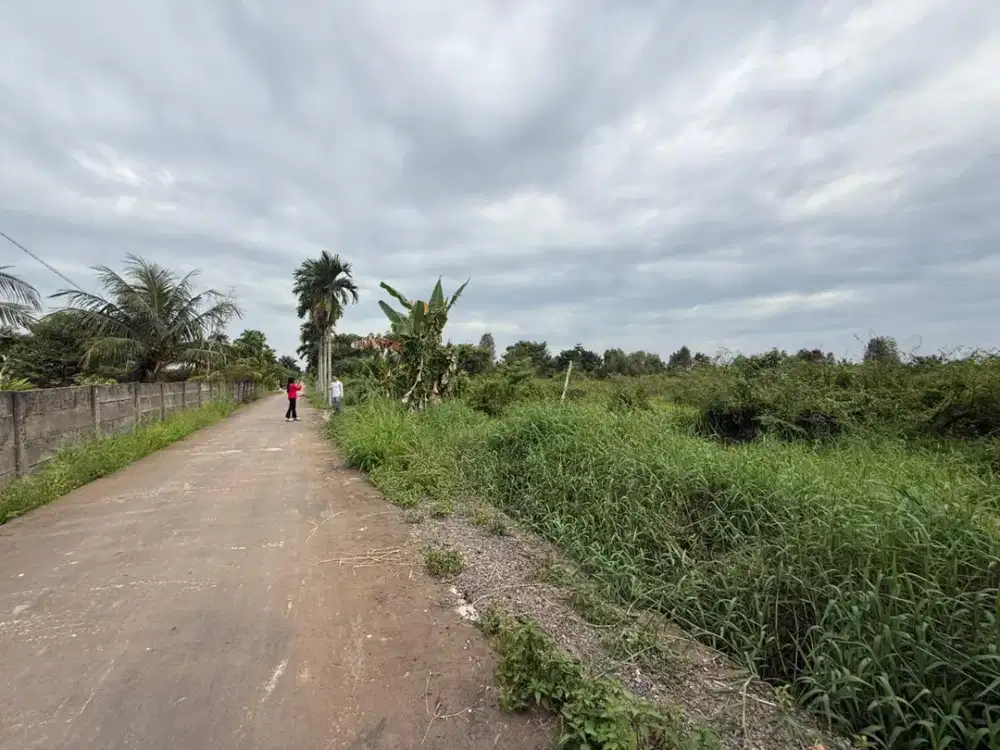 Tanah Sukarami SHM Cocok Hunian Nyaman