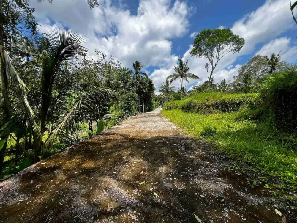 Tanah Payangan Ubud Gianyar Bali