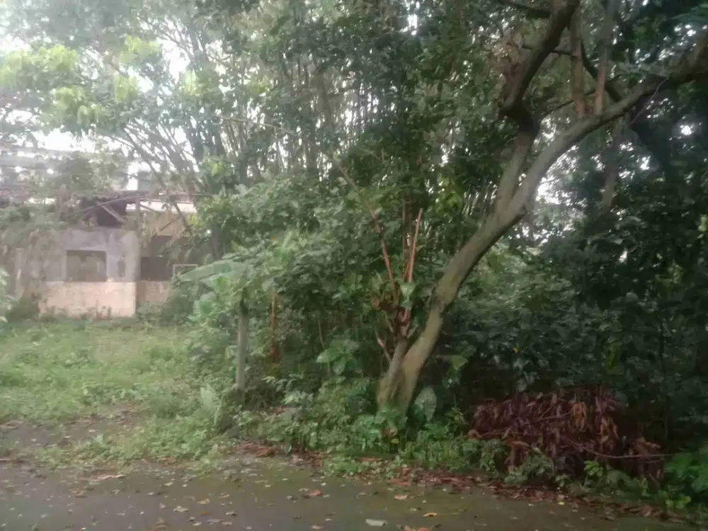 Dijual Tanah Murah Nempel Jalan Margonda Raya Depok Bonus Rumah