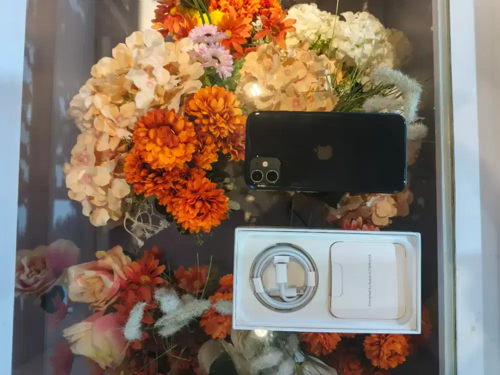 Iphone 11 256gb sesuka ini