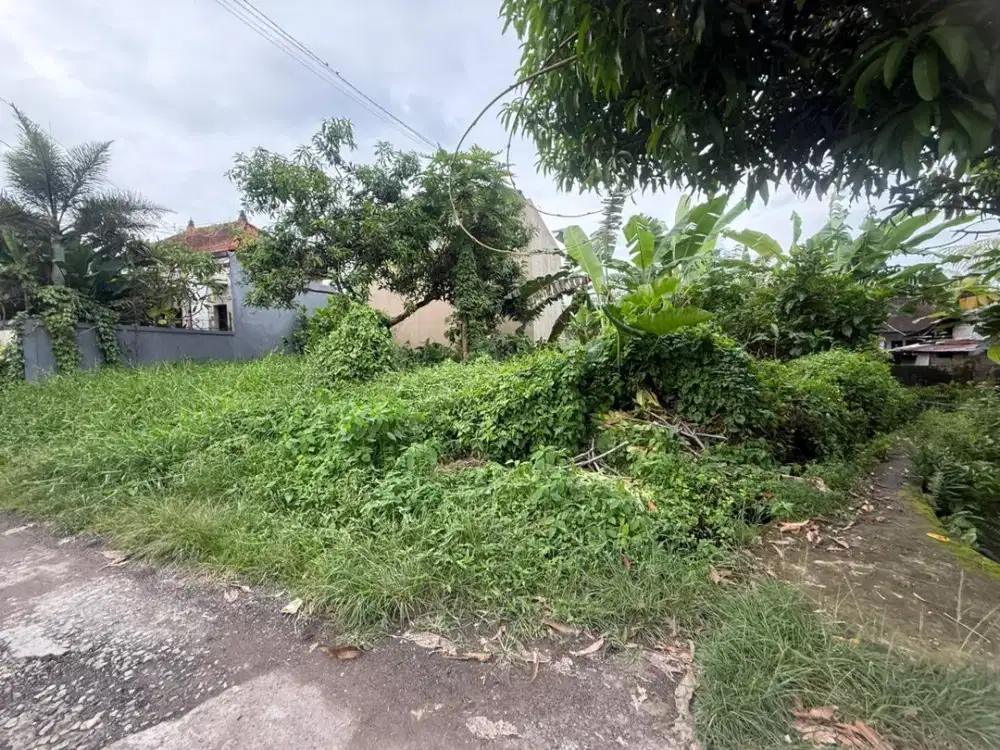 Tanah 2are Di Drupadi Munggu Dekat Pantai Pererenan Seseh Tanah Lot Canggu