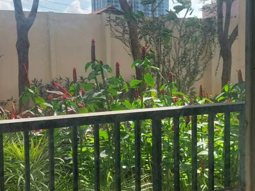 Sewa Apartemen Aspen 2BR Cilandak Jakarta Selatan