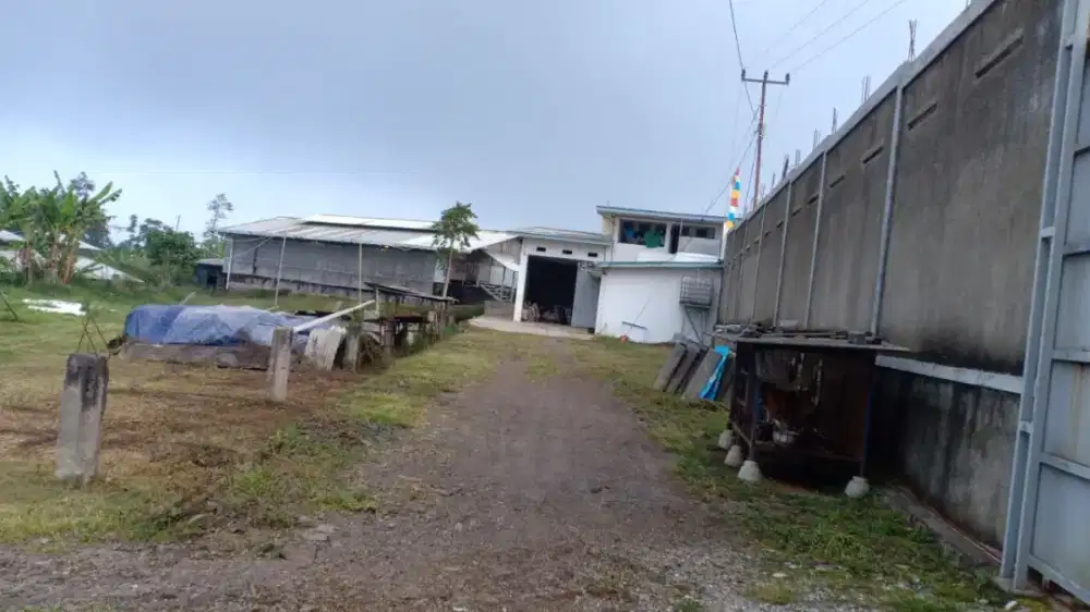 Dijual Tanah Luas 15.438m2 + 2 Kandang Ayam Petelur murah sekaliii