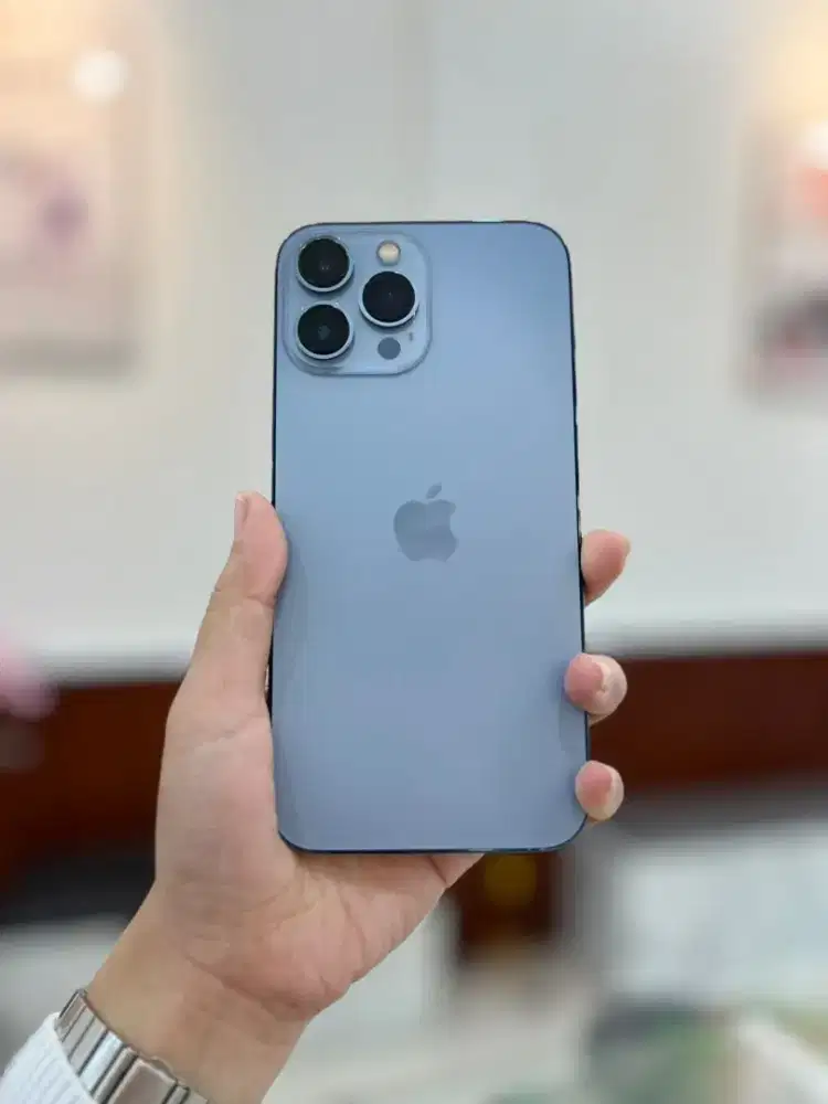 Iphone 13 PM 128 BEACUKAI