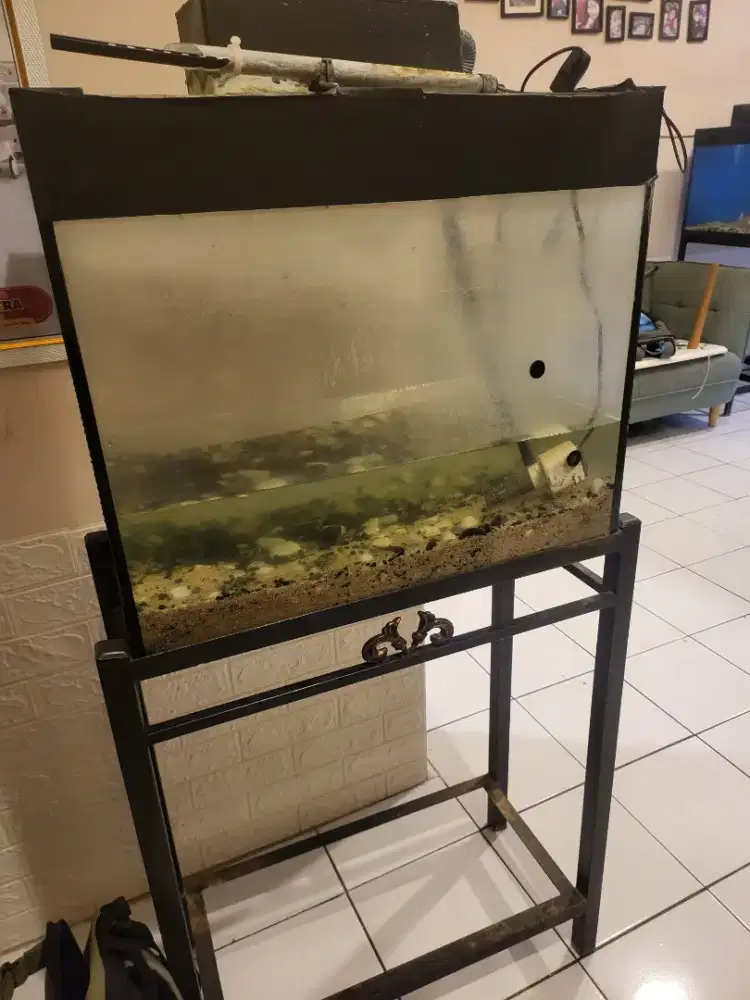 Aquarium komplit plus kaki 60 x 30 dan filter