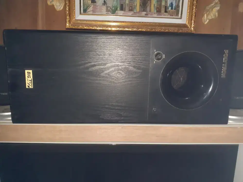 Speaker Subwofer polytron psw 500i