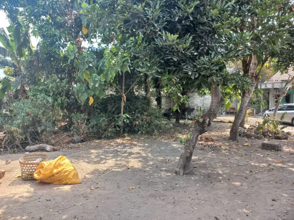 DIJUAL TANAH KAVLING MURAH DEKAT RS PANTI RINI KALASAN