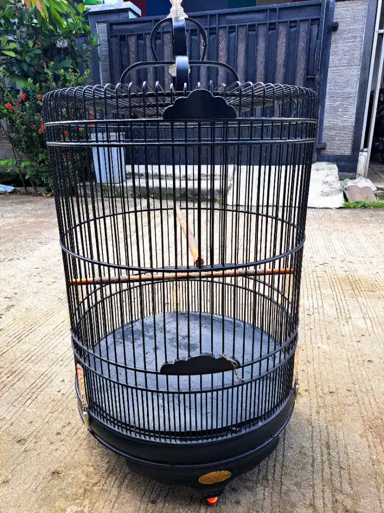 Sangkar BNR black doff