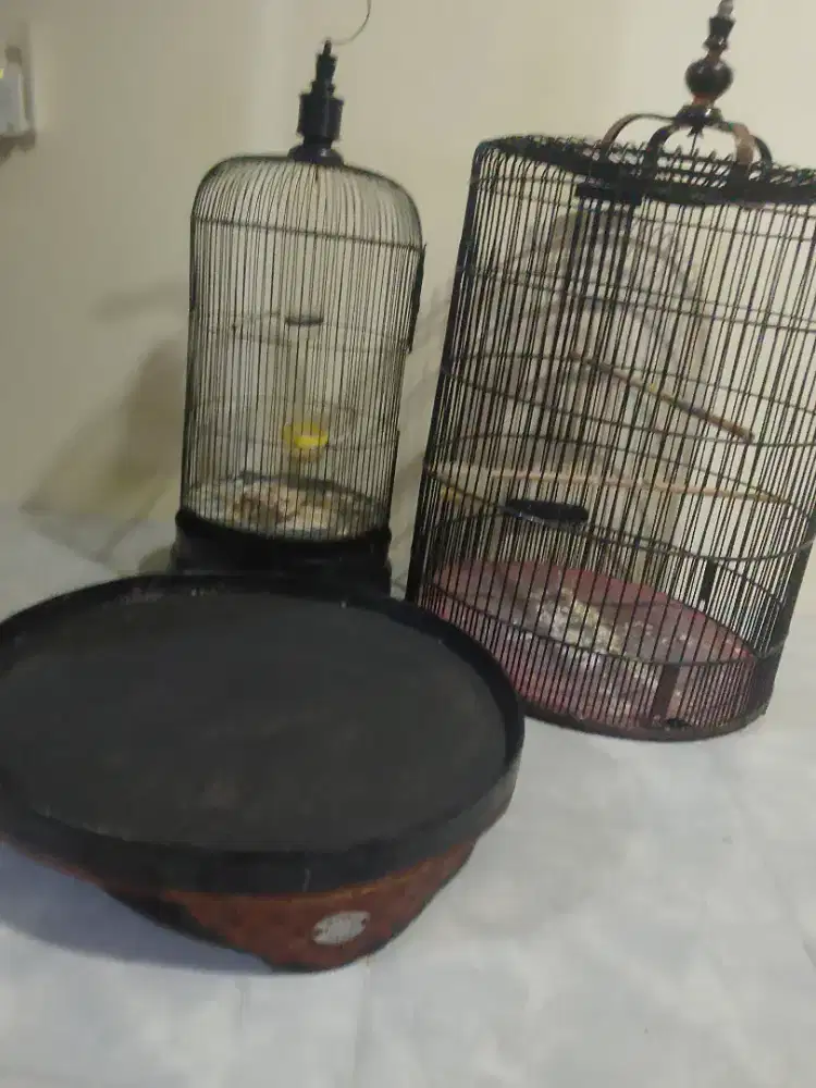 2 Kandang layak pakai