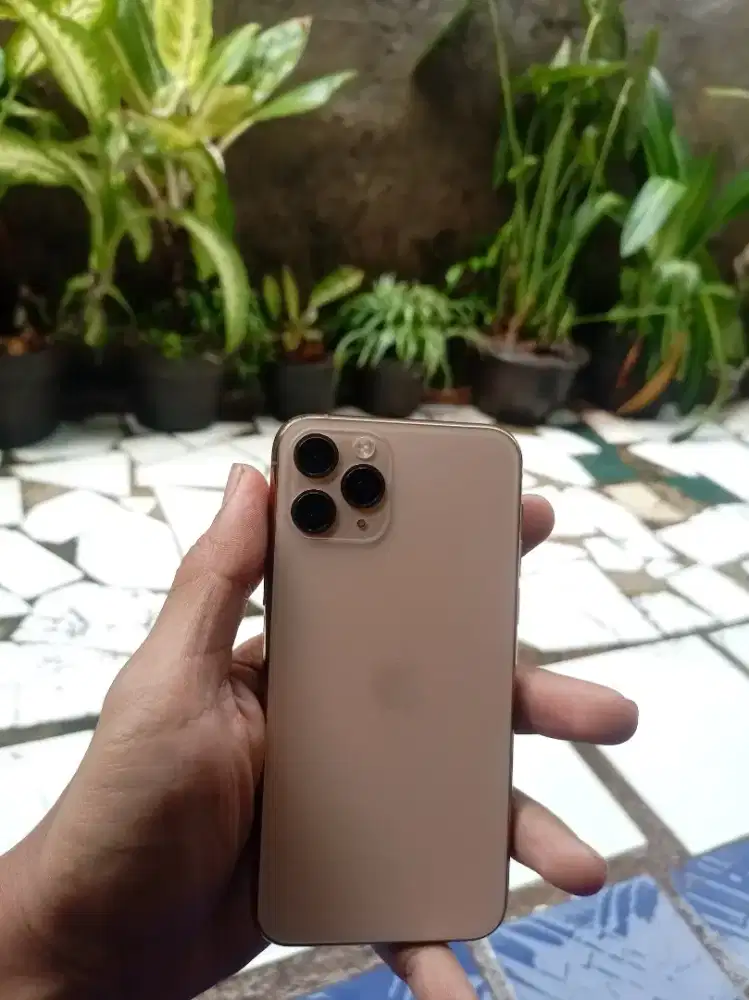 Iphone 11 pro 64gb kel hp casan aja dus ilang