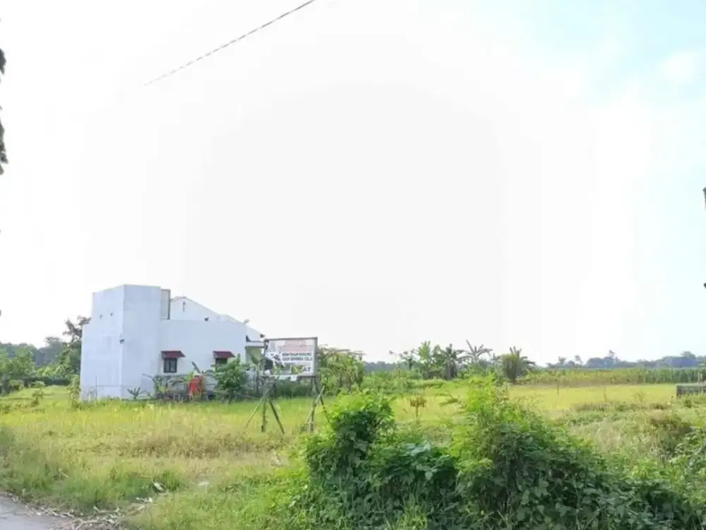 Tanah Kavling Dekat SMAN 1 Ketanggungan Di Desa Tanggungsari Ketanggungan Brebes