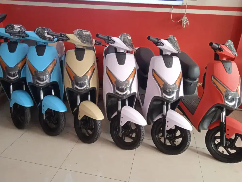 Sepeda Listrik U-winfly (D75)