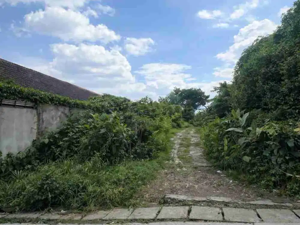 JUAL CEPAT MURAH TANAH KAVLING DI PEJATEN BARAT SHM COCOK UNTUK CLUSTER