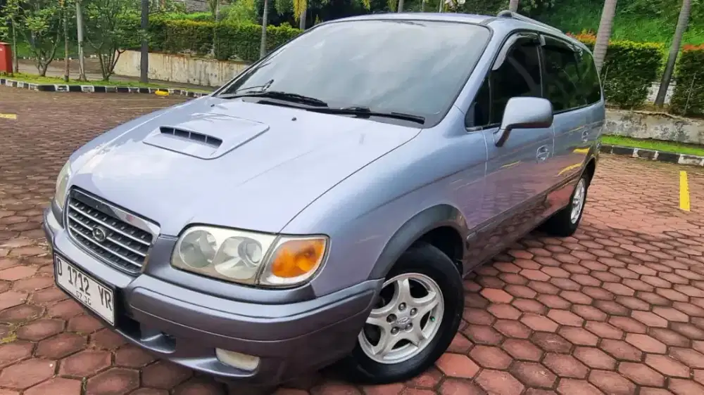 Hyundai Trajet 2000 Manual