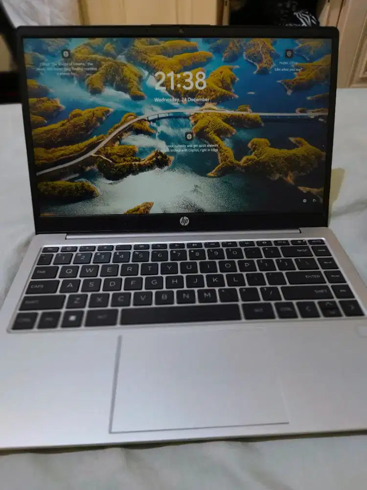 Laptop HP 245 G10 AROL8PT