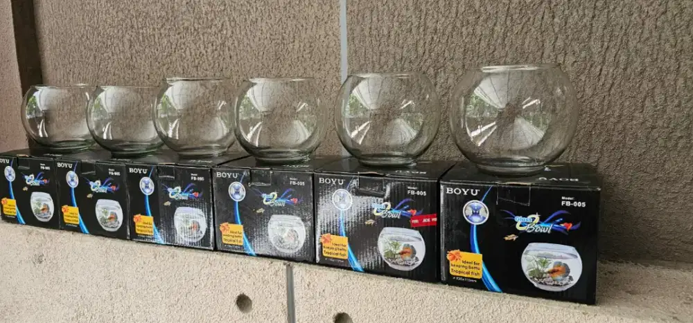 Sale Aquqrium mini bulat BOYU by Ace Hardware ada 6 pcs