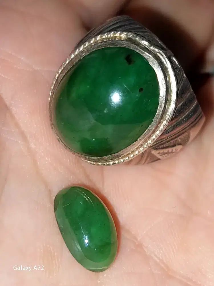 Idocrase sungai dareh kumbang jati totol jalak