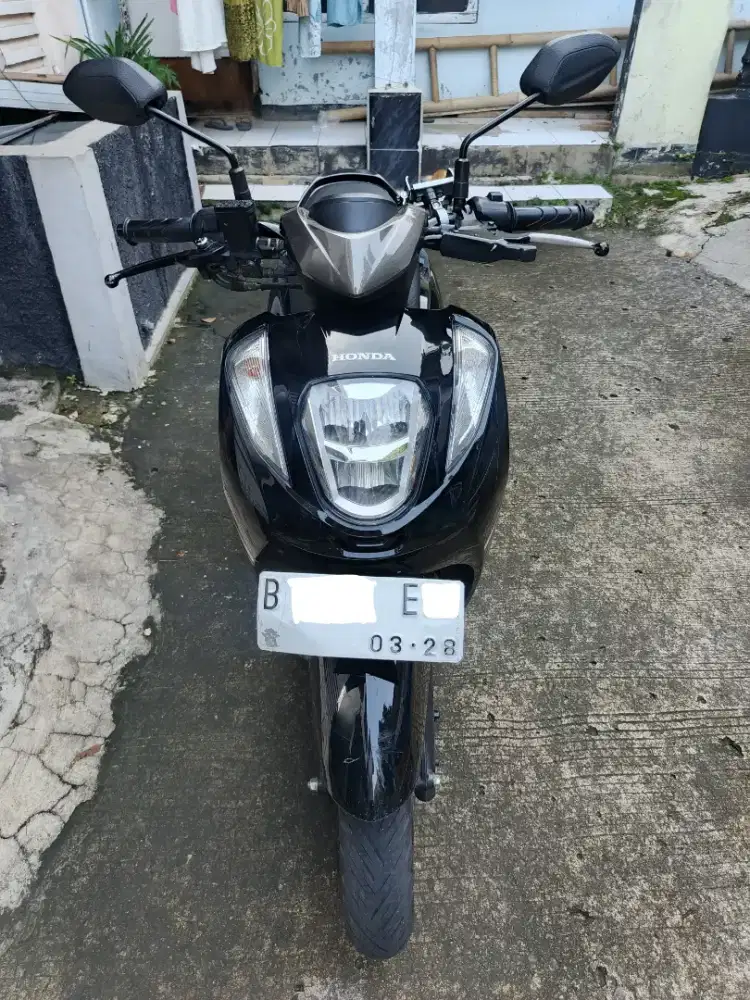 Genio 2023 halus mulus