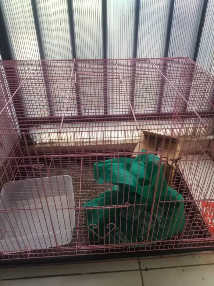 Kandang kucing lipat besar