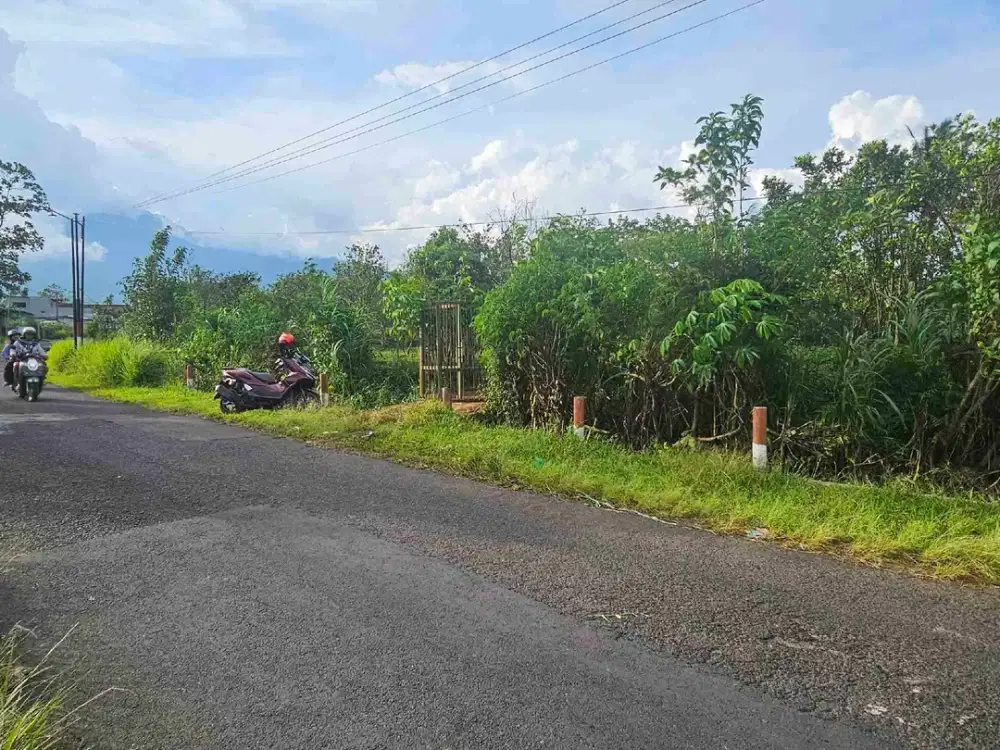 tanah murah pinggir jalan wagir pandanrejo BU SEGERA. jalan sangat lebar bagus buat perumahan atau investasi view bagus
