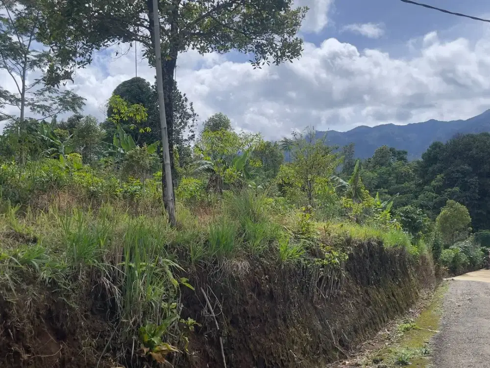 Tanah KebunCengkeh dan Manggis 8300 m2 Bojong Purwakarta Dijual Murah