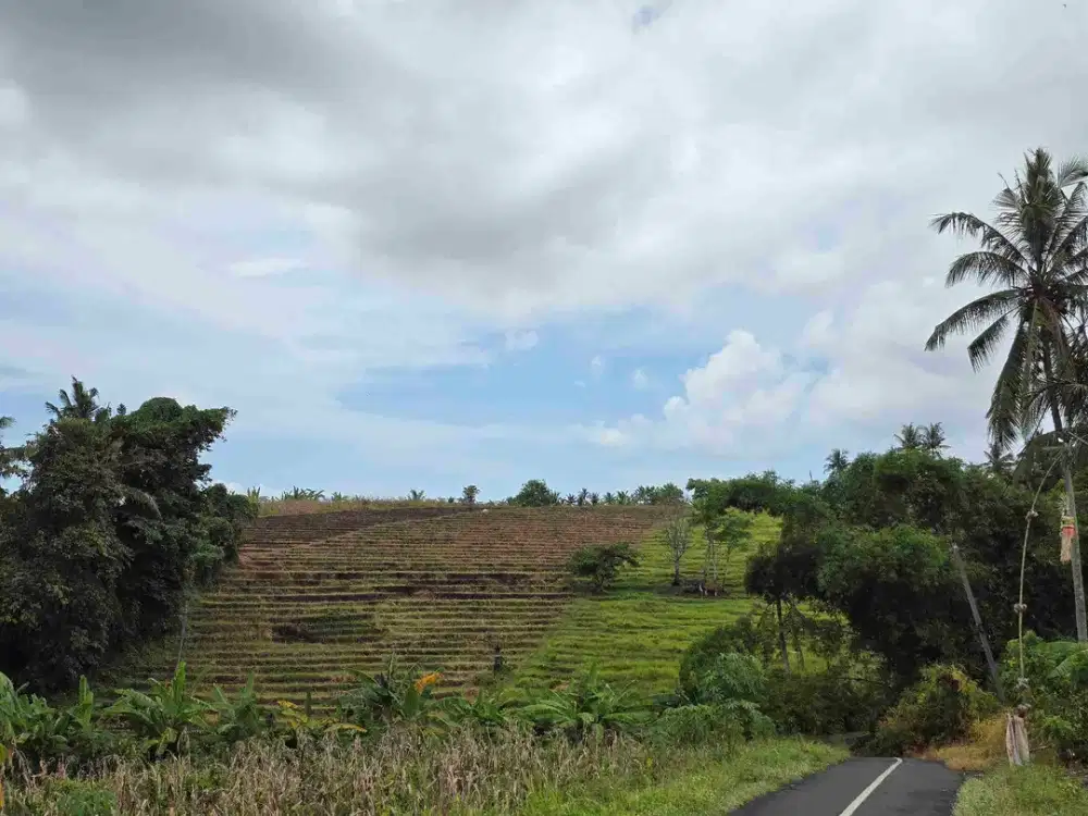 Dijual tanah zona kuning view sawah dan los sungai di tabanan bali