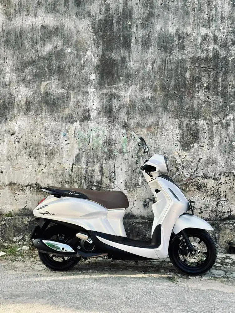 Grand Filano Lux 2024