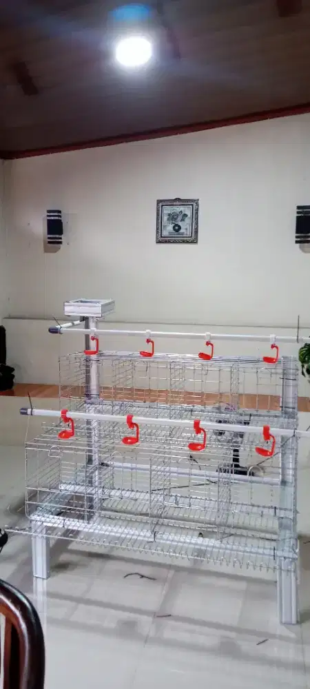 Paket Ayam Petelur 16 Ekor + 1 Set Kandang Batrei Skala Rumahan