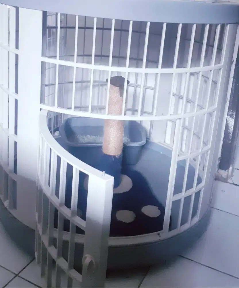 Jual Kandang Kucing Luxury Plus Bonus Uk.Besar Anti Karat !!